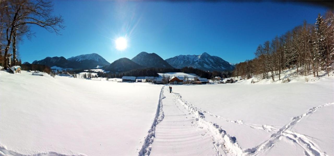 Ferienwohnungen Seraphine Und Theresia Grundlsee Exterior photo