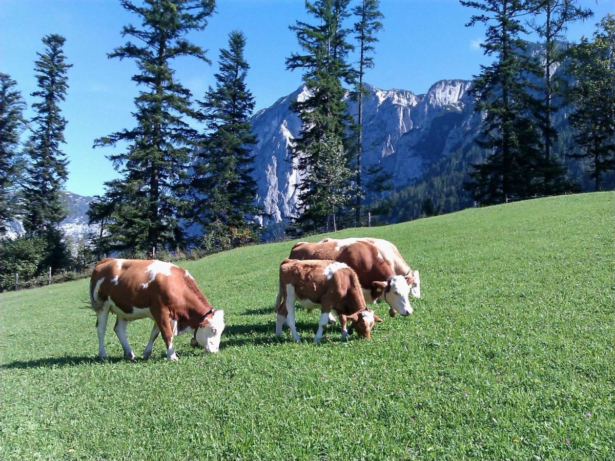 Ferienwohnungen Seraphine Und Theresia Grundlsee Exterior photo